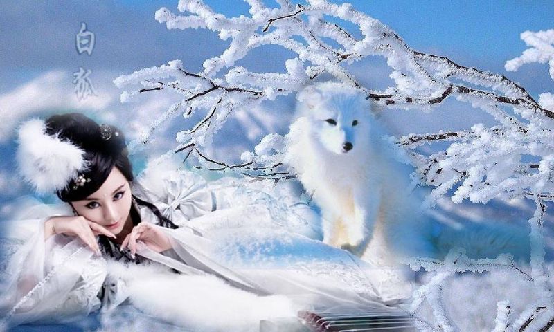 每當(dāng)一個(gè)軍人即將退伍，該怎樣尋找就業(yè)方向？